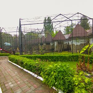 enclosures of monkeys