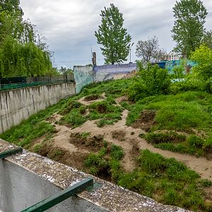 enclosure of brown bear