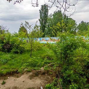 enclosure of brown bear