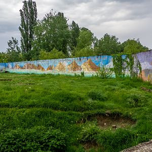 enclosure of brown bear