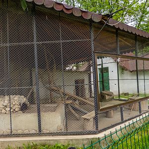 enclosure of meerkats