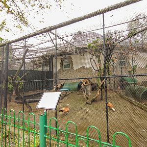 enclosure of pheasantry #1