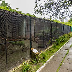 enclosure of pheasantry #2