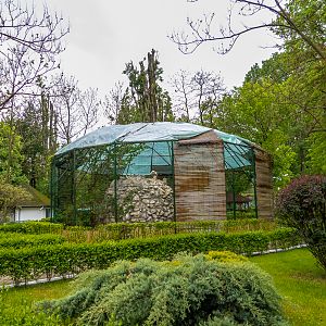 encosure of Eurasian griffon vulture