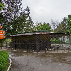 enclosure of chicken
