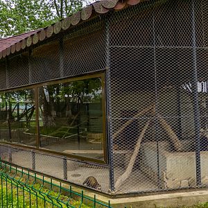 enclosure of domestic ferret