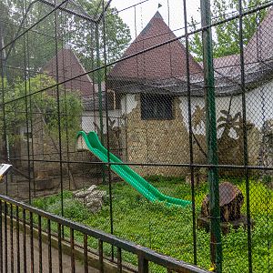 enclosure of ring-tailed lemur