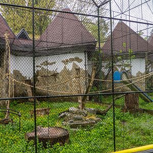 enclosure of ring-tailed lemur