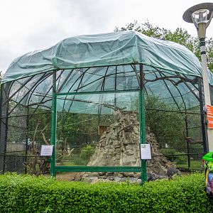 enclosure of grey crowned crane