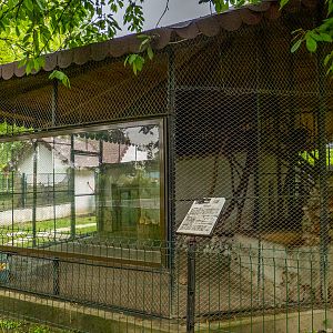 enclosure of coati #1