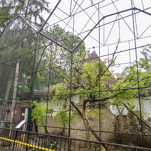 enclosure of coati #2