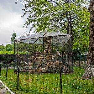 enclosure of peafowl #1