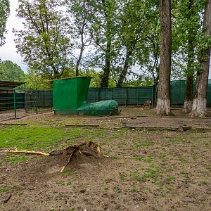 enclosure of roe deer