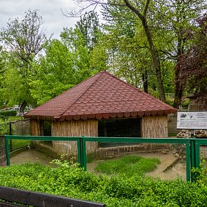 enclosure of porcupine