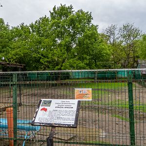 enclosure of ostrich