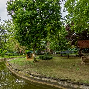 enclosure of ducks and goose