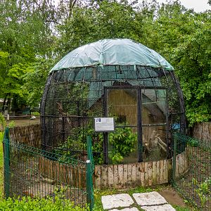 enclosure of common marmoset