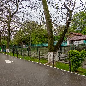 enclosure of european bison