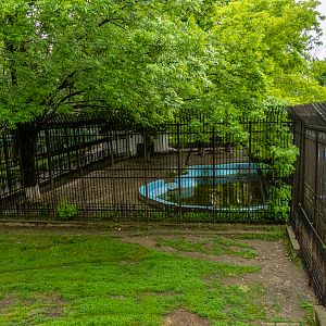 enclosure of pygmy hippopotamus