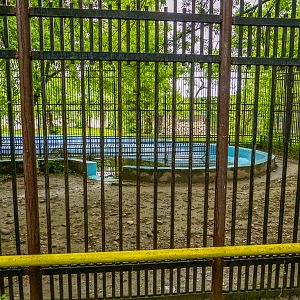 enclosure of pygmy hippopotamus