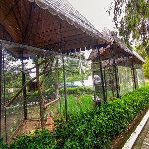 enclosures of chicken and goose