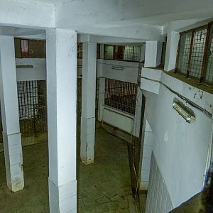 indoor enclosure of big cats