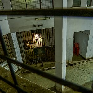 indoor enclosure of big cats