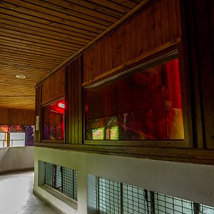 house of big cats, upper floor