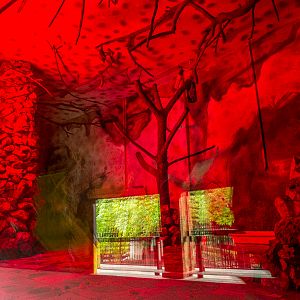 enclosure of nile flying fox