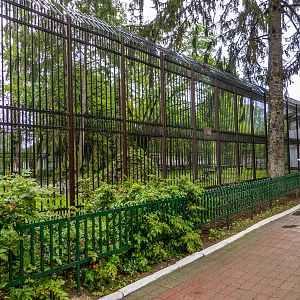 enclosure of tiger #1