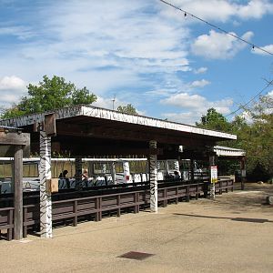 Africa - Tram Station