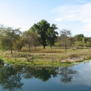 Africa - Antelope Exhibit