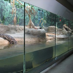 Africa - Crocodile Exhibit
