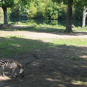 Africa - Giraffe, Zebra, and Ostrich Exhibit
