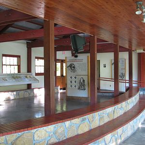 Africa - Chimpanzee Exhibit Classroom