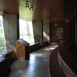 Africa - Chimpanzee Exhibit Viewing Area
