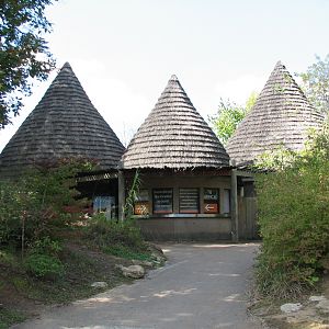 Africa - Elephant Exhibit Entry Building
