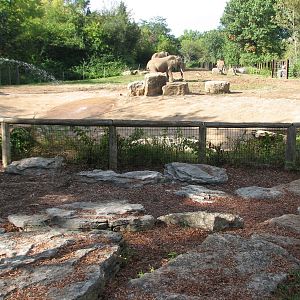 Africa - Elephant Exhibit
