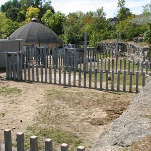 Africa - Elephant Holding Area