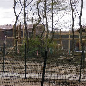 Moose Barn Addition?