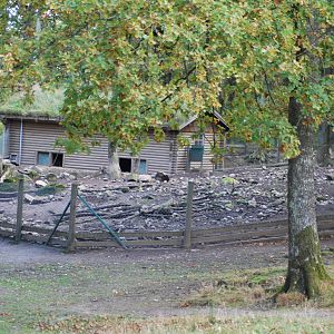 Autumn in Skanes Animal Park - wild boar enclosures