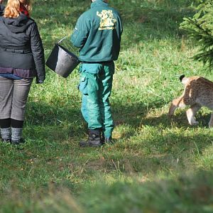Autumn in Skanes Animal Park - Visitors joining keeper for a feeding sessio