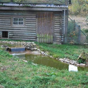 Autumn in Skanes Animal Park - details from the lynx enclosure