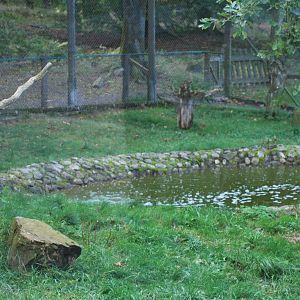 Autumn in Skanes Animal Park - details from the lynx enclosure