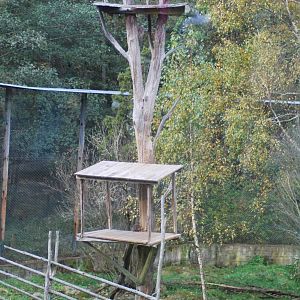 Autumn in Skanes Animal Park - details from the lynx enclosure