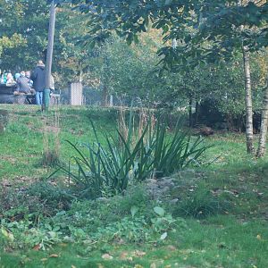 Autumn in Skanes Animal Park - big bird aviary