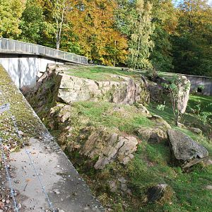 Autumn in Skanes Animal Park - adult brown bear enclosure