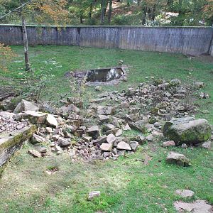 Autumn in Skanes Animal Park - adult brown bear enclosure