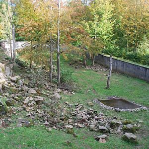 Autumn in Skanes Animal Park - adult brown bear enclosure