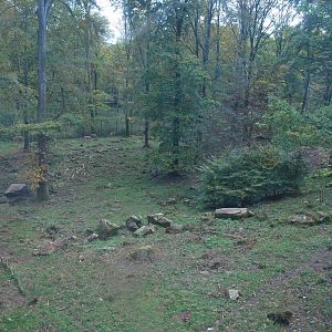 Autumn in Skanes Animal Park - the wolf enclosure